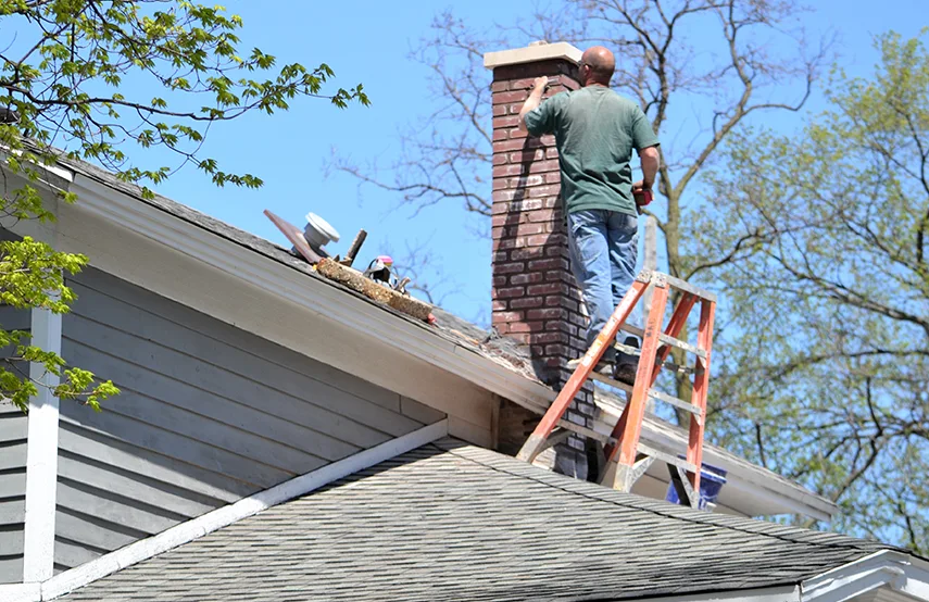 Chimney & Fireplace Inspections Services in Chicopee, MA